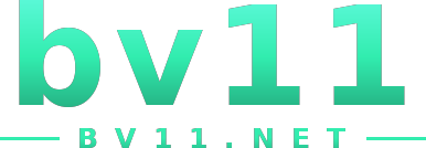 bv11 logo